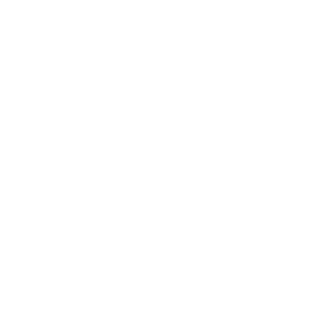 Trident Solutions Logo Vertical White
